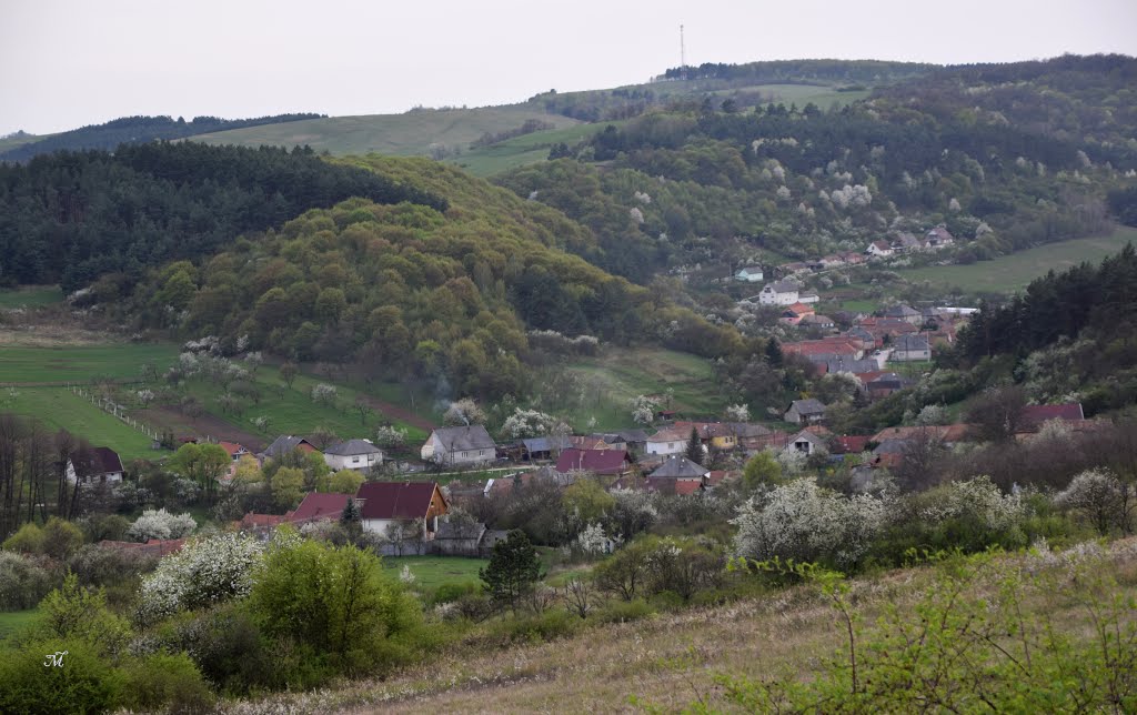 Nordic Walking Debrecen Túra Nekézseny