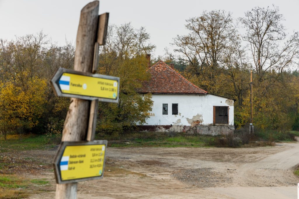 Nordic Walking Debrecen túra Erdőspuszta